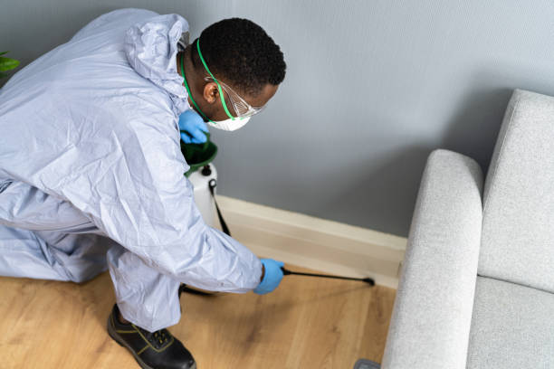 Professional Pest control in Shirley, NY